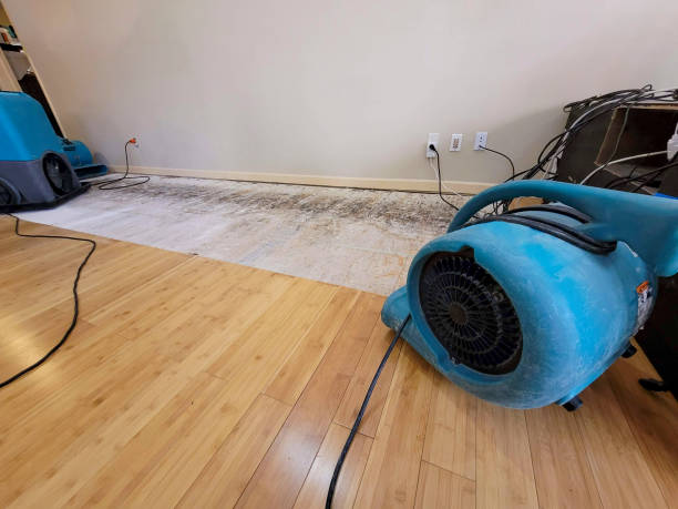 Reliable Basement Flood Cleanup contractor in Ogden, NC by Hirex Water Damage