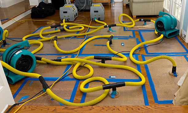 Professional Basement Flood Cleanup technician working in Ogden, NC